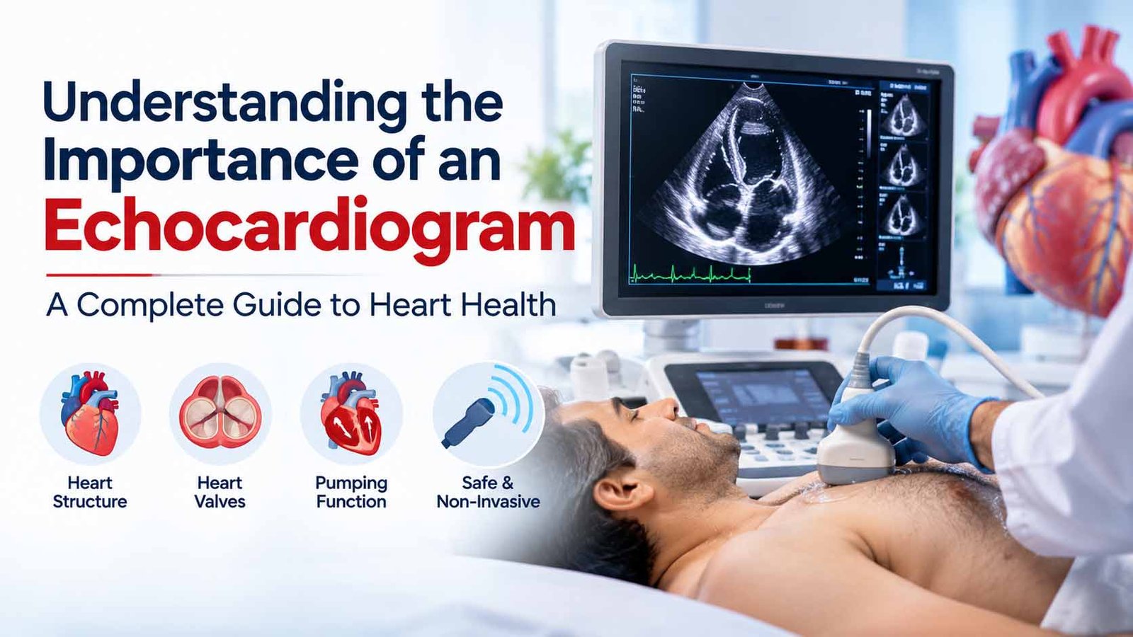 Understanding the Importance of an Echocardiogram